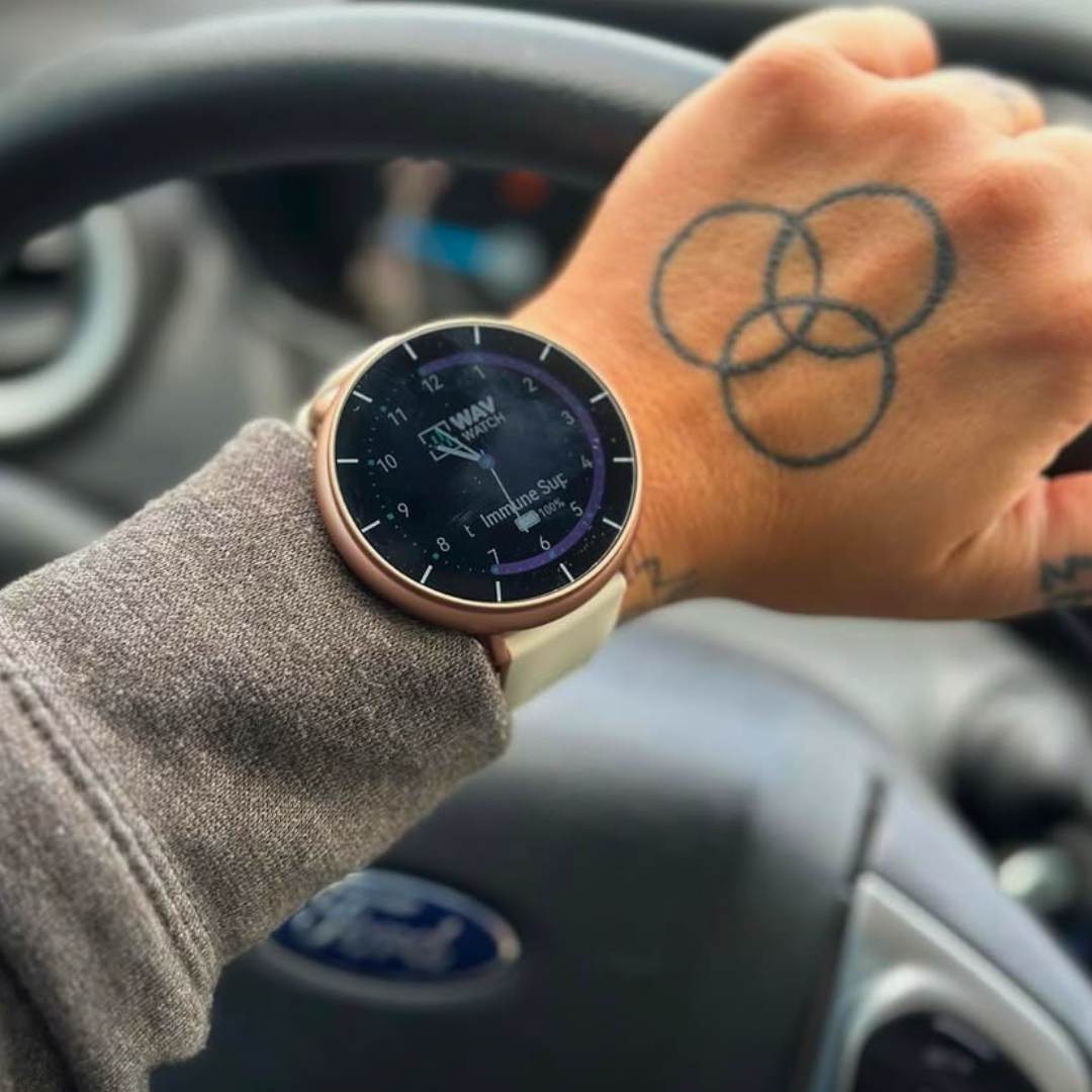WAVwatch 2.0