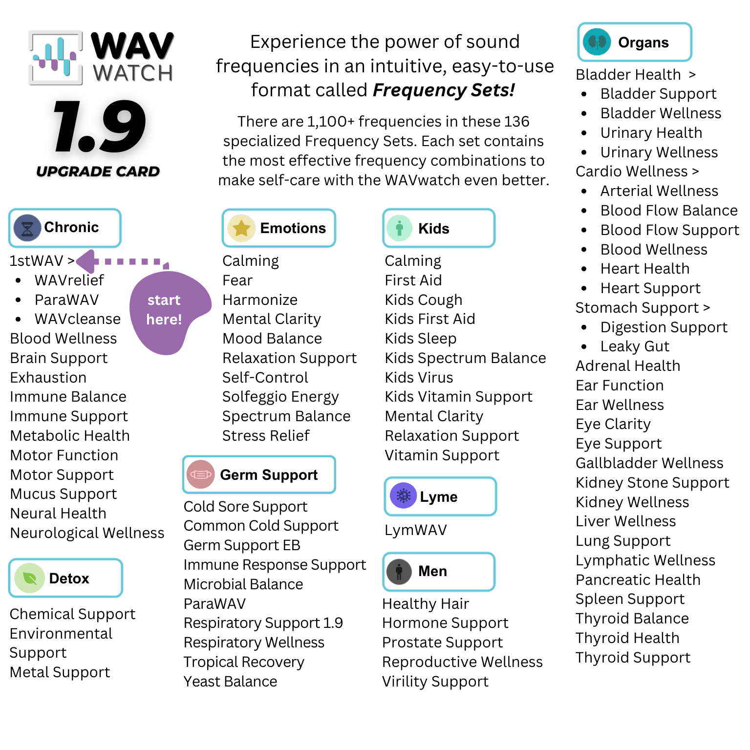 WAVwatch 1.9 Frequency Upgrade Card (for current owners of WAVwatch 1.0)